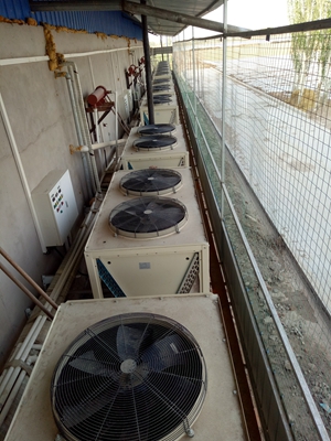 韶关蔬菜基地